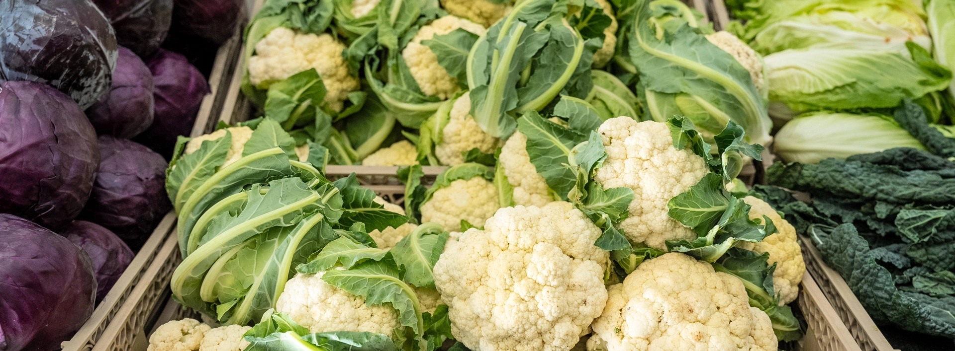 Prodotti freschi della consorzio ortofrutticolo, salutari