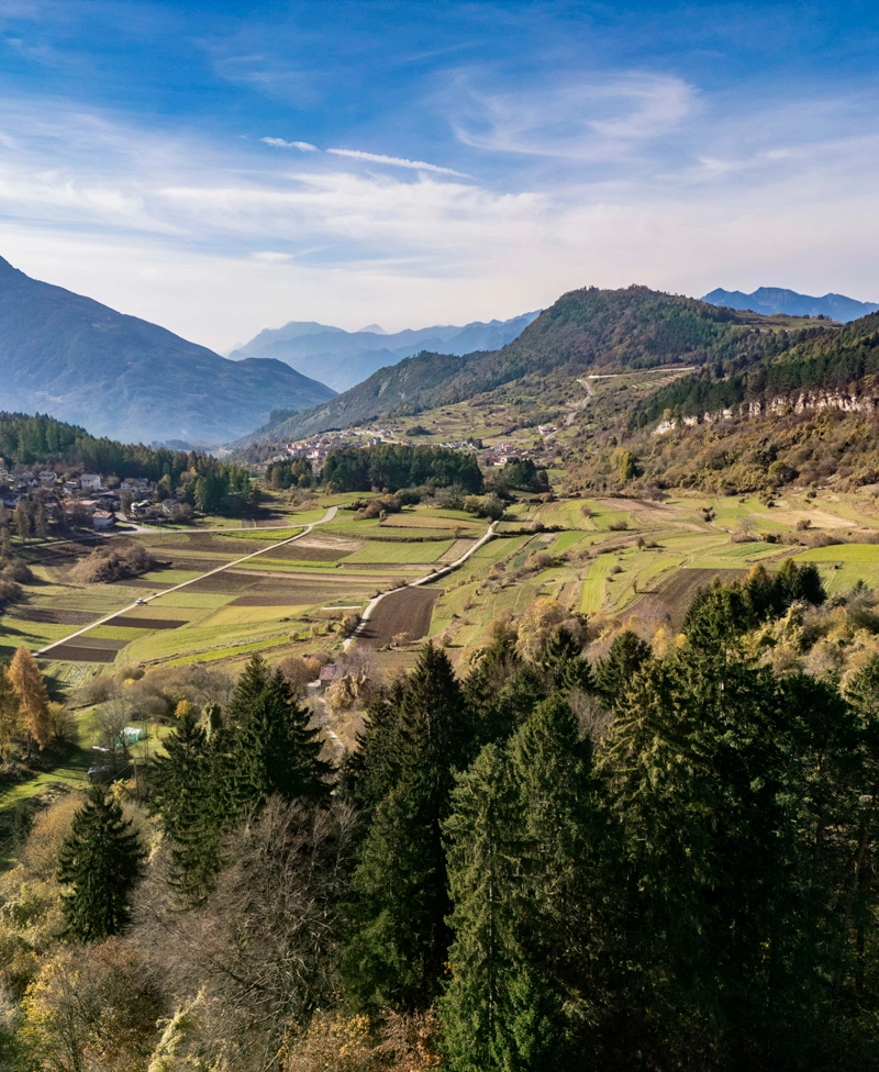 Consorzio Ortofrutticolo Val di Gresta