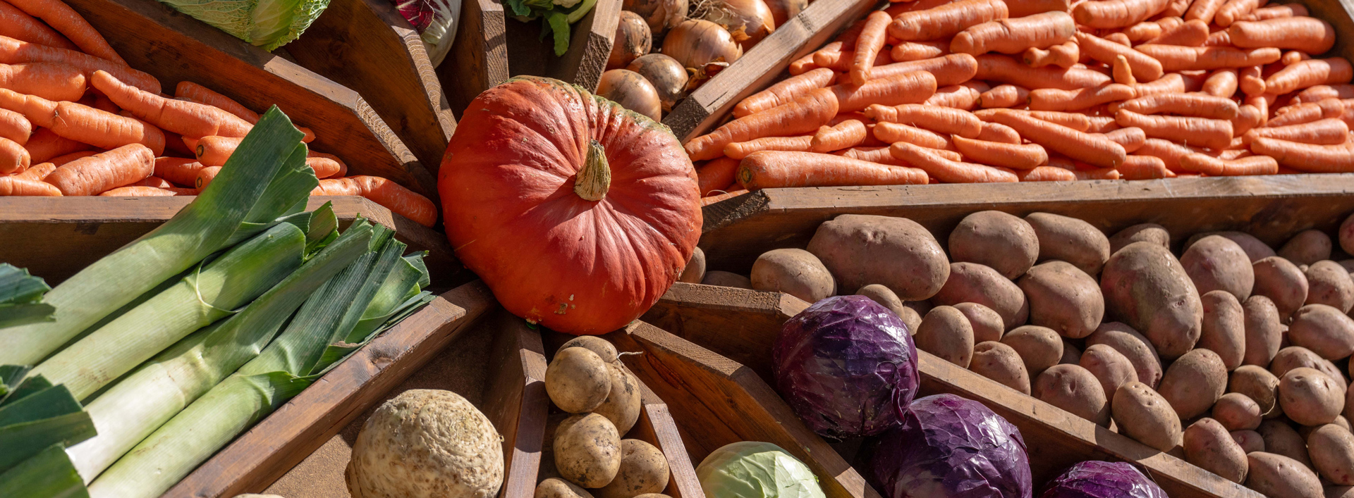 Mostra mercato., mercato contadino